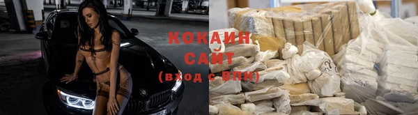 крисы Армянск