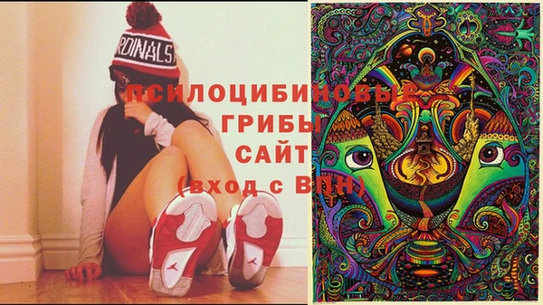 крисы Армянск