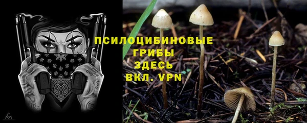 крисы Армянск