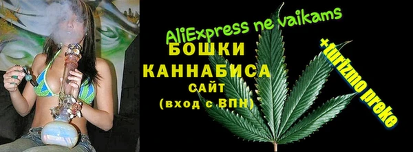прущий лед Арсеньев