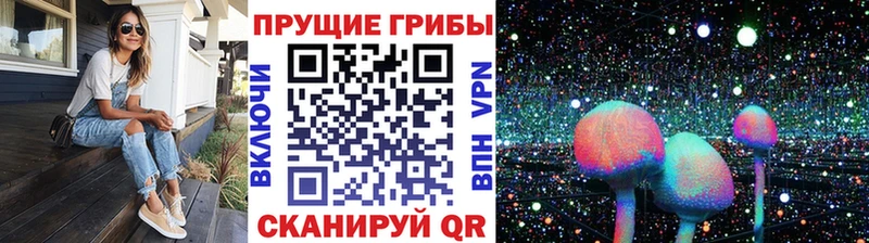 хочу наркоту  Нарьян-Мар  Галлюциногенные грибы Psilocybine cubensis 